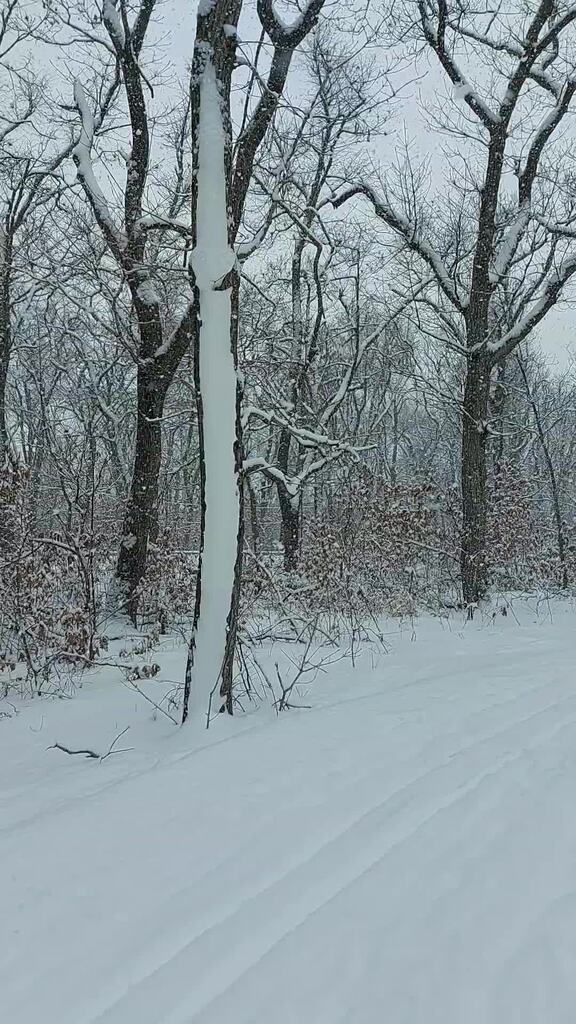 Зимняя тема. Зима 2021 года. That year the winter. Новогодний город. That year the winter.