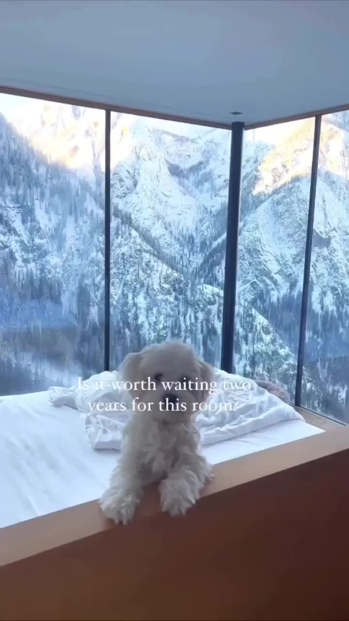 Отпустите в отпуск. Горящие туры фото красивые. Лето дети море. Ребенок в пледе. Два года без отпуска.