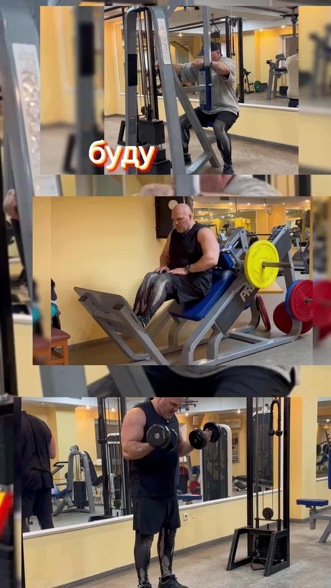 западно-сибирская лайка и хаски. среднеазиатская лайка. собирайтесь лайки мы уходим. лайка собака и хаски различия. мои подписки на яндекс дзен.