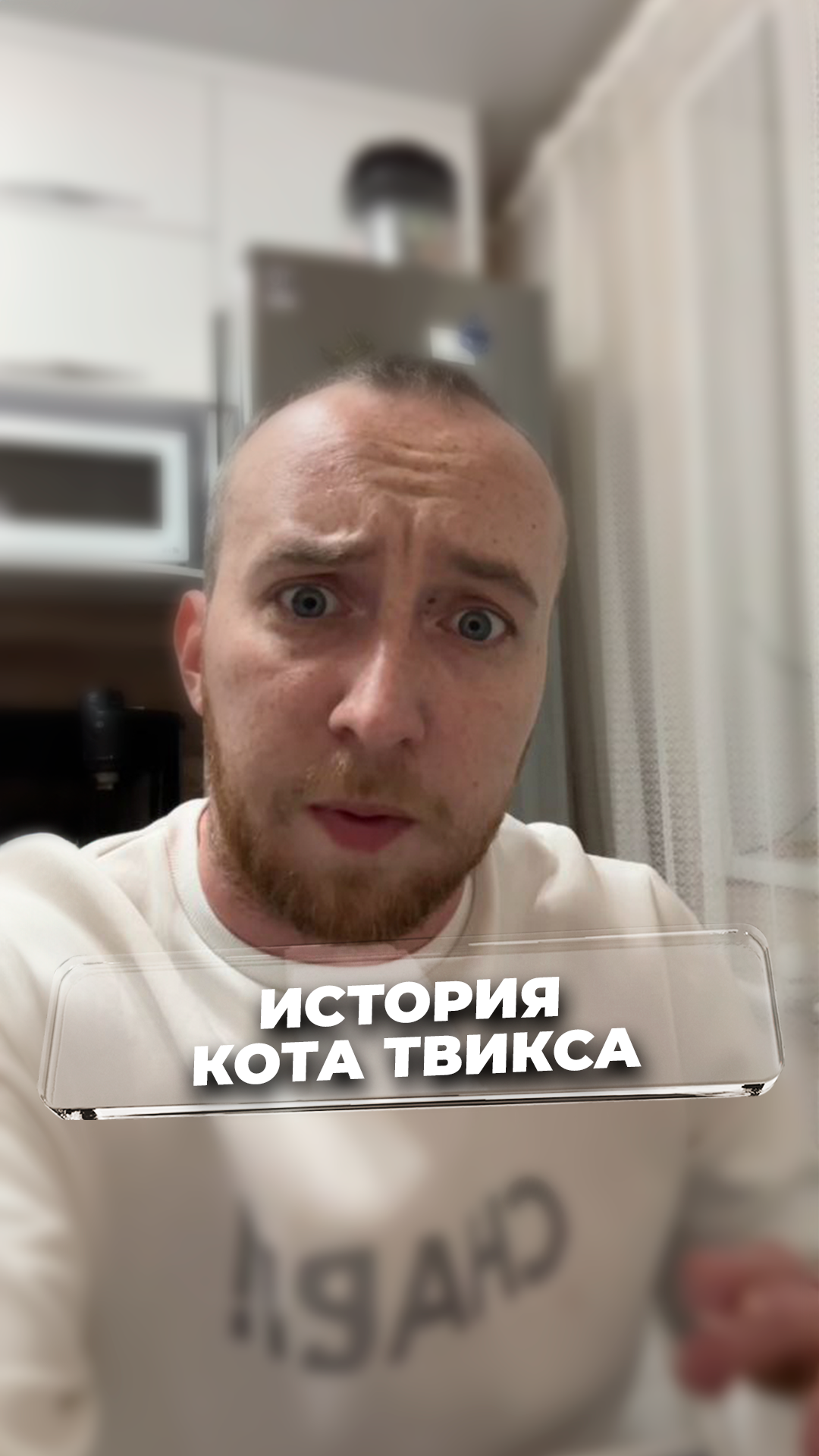 Расследование гибели кота твикса