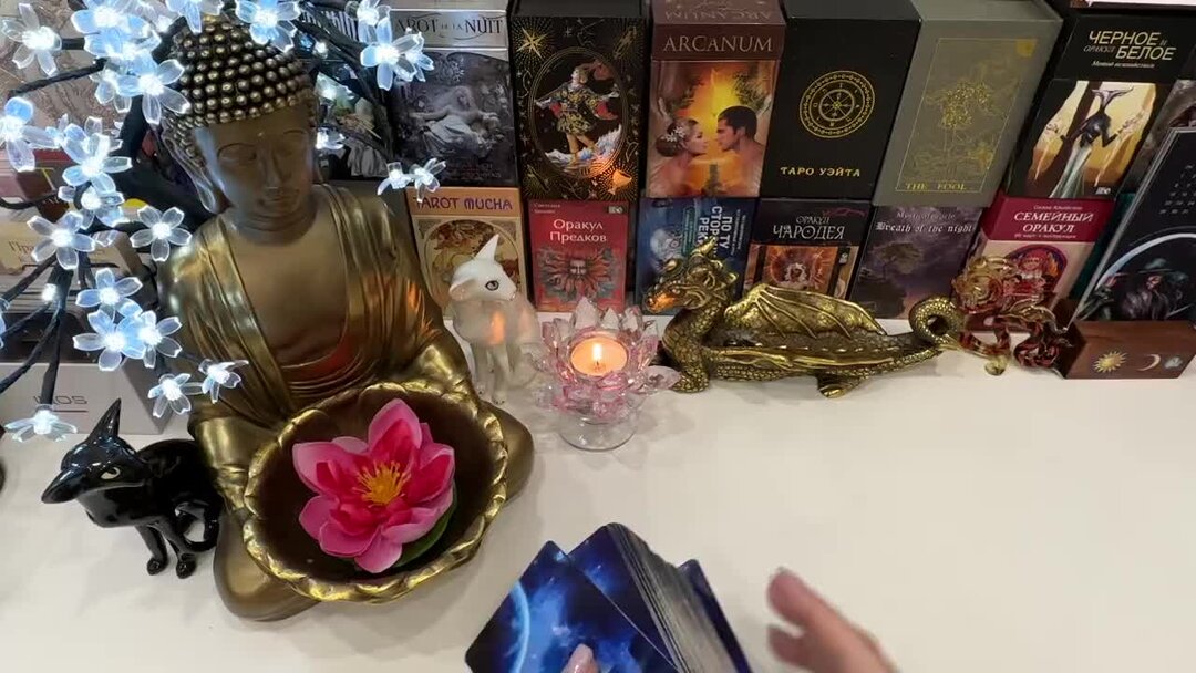 гордость и предубеждение цитаты из книги. слабости человека список. цитаты про слабость человека. сила нервных процессов. сила через слабость.