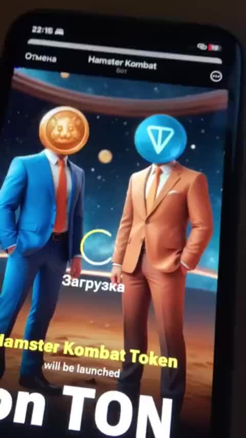 Хомяк сеня стикеры. Стикеры хомячки. Hamster телеграмм. Hamster телеграмм. Мистер хомяк.