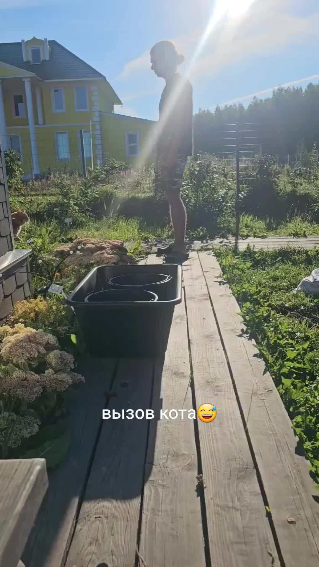 Дом с котором. Дом с котором
