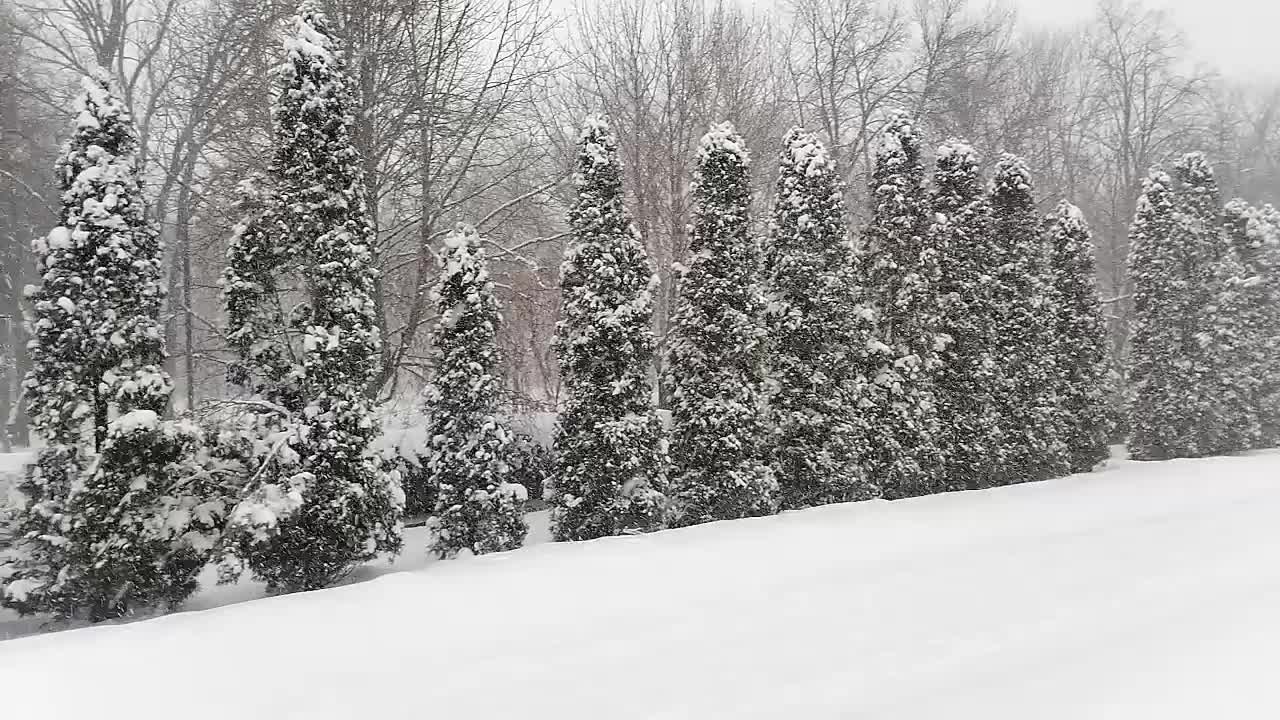 Липецк зимой