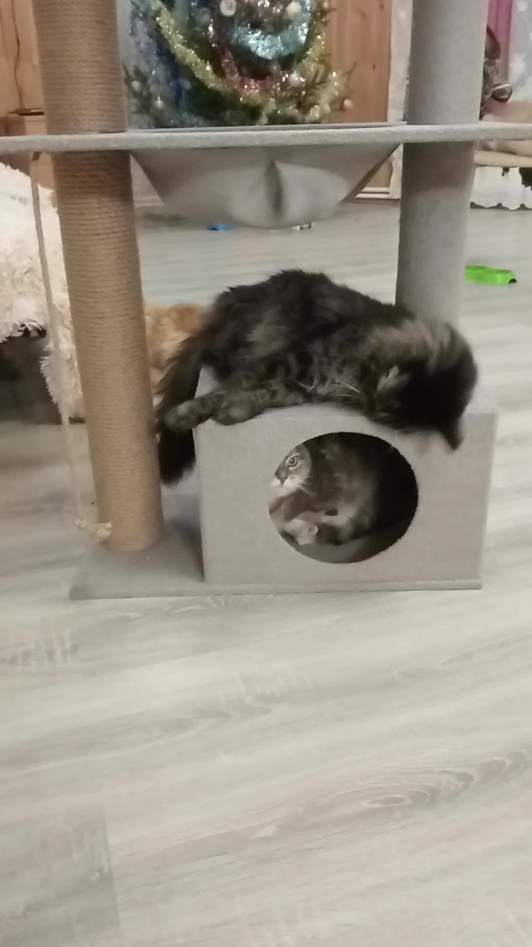 Радоваться жизни. Позитивные пожелания на день рождение. Радостные пожелания на каждый день. Счастье в твоих руках. Не забывай радоваться жизни по которой идешь.