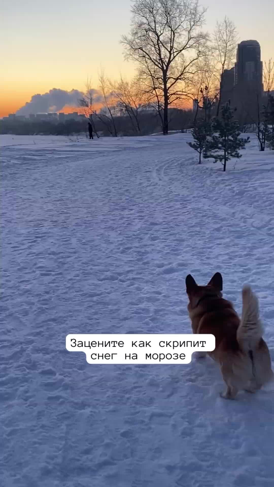 Скрипит снежок