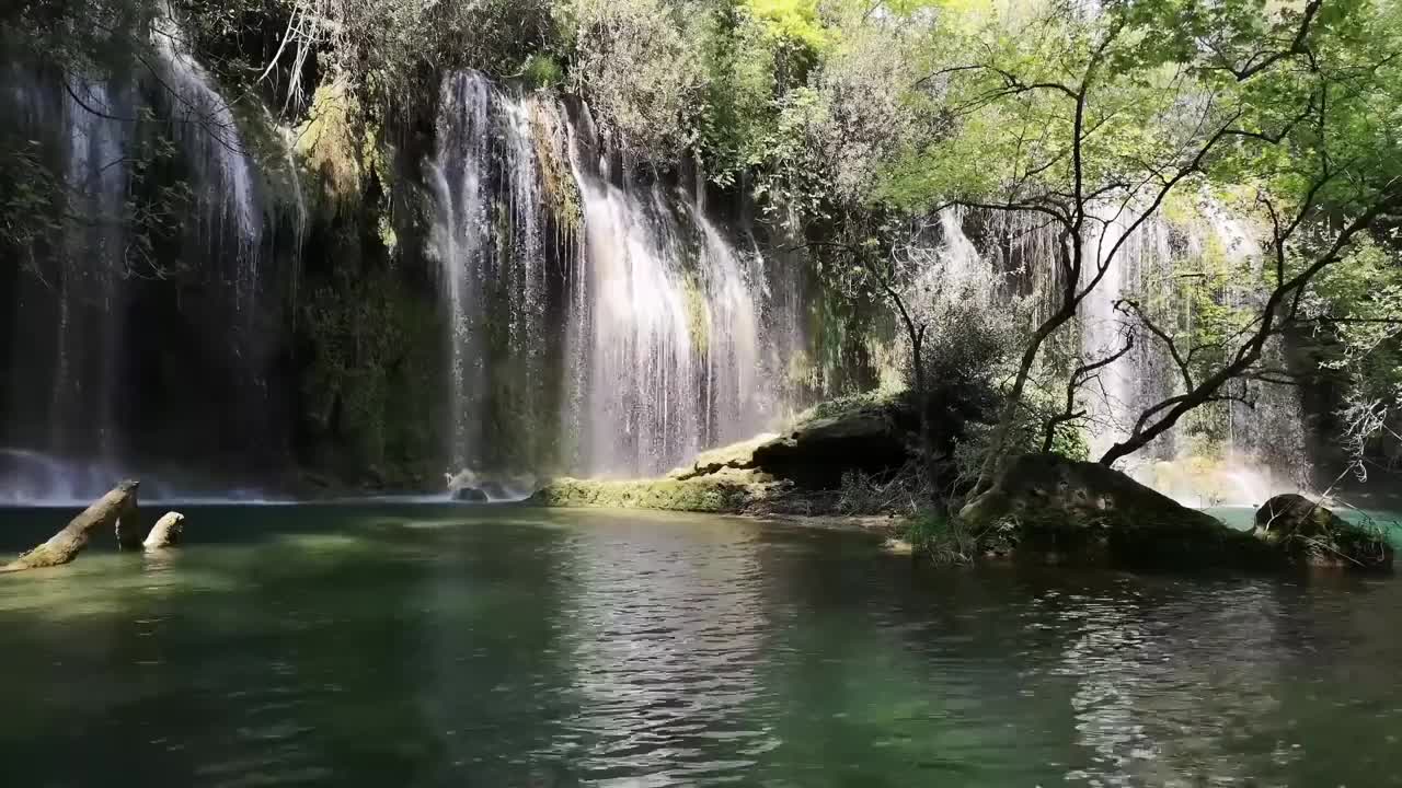 Веришь в чудеса твои заплаканы глаза песня