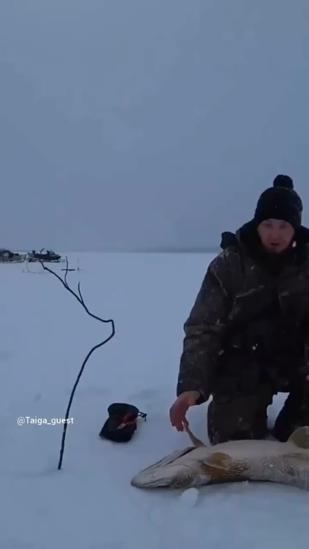 Жизнь в тайге. Таежный дзен канал последнее видео. Канал таёжный николай спиридонов. Таежный охота на медведя. Николай таежный охотник.