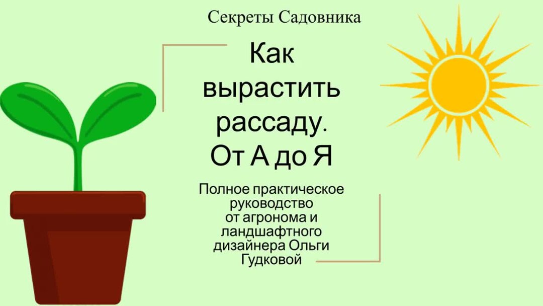 Огород урожай. Тайный садовник. Садовник в саду с женщиной. Профессия садовник для детей. Овощи на грядке.