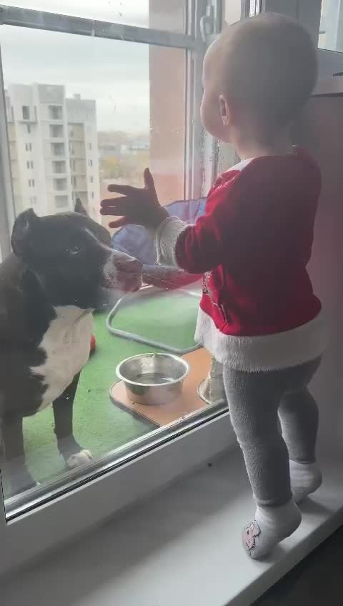 Стать любимой собачкой без. Преданность собаки. Красивая девушка с собачкой. My life as inukai-san's dog. Девочка с собакой.