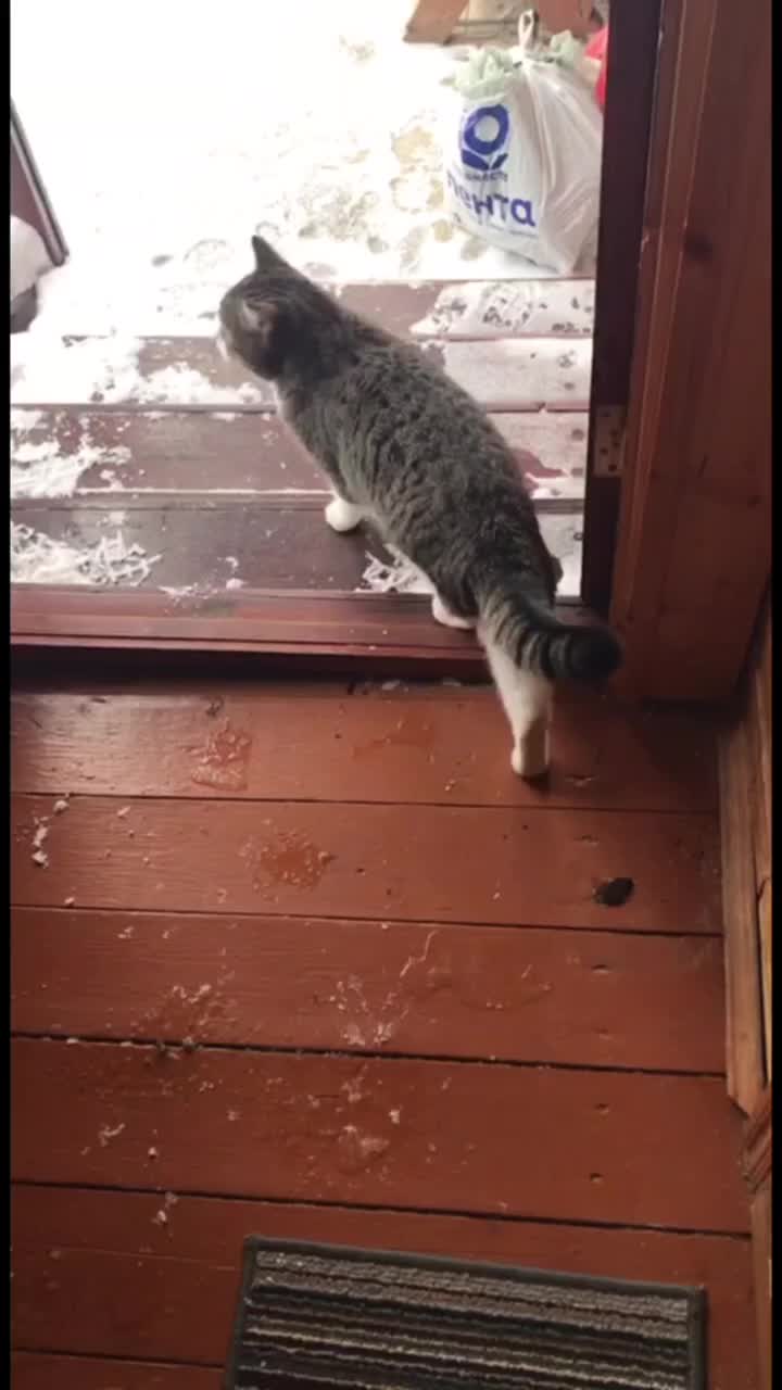сон выйти в дверь. свет за дверью. человек заглядывает за дверь. мужчина за дверью. девушка у двери.