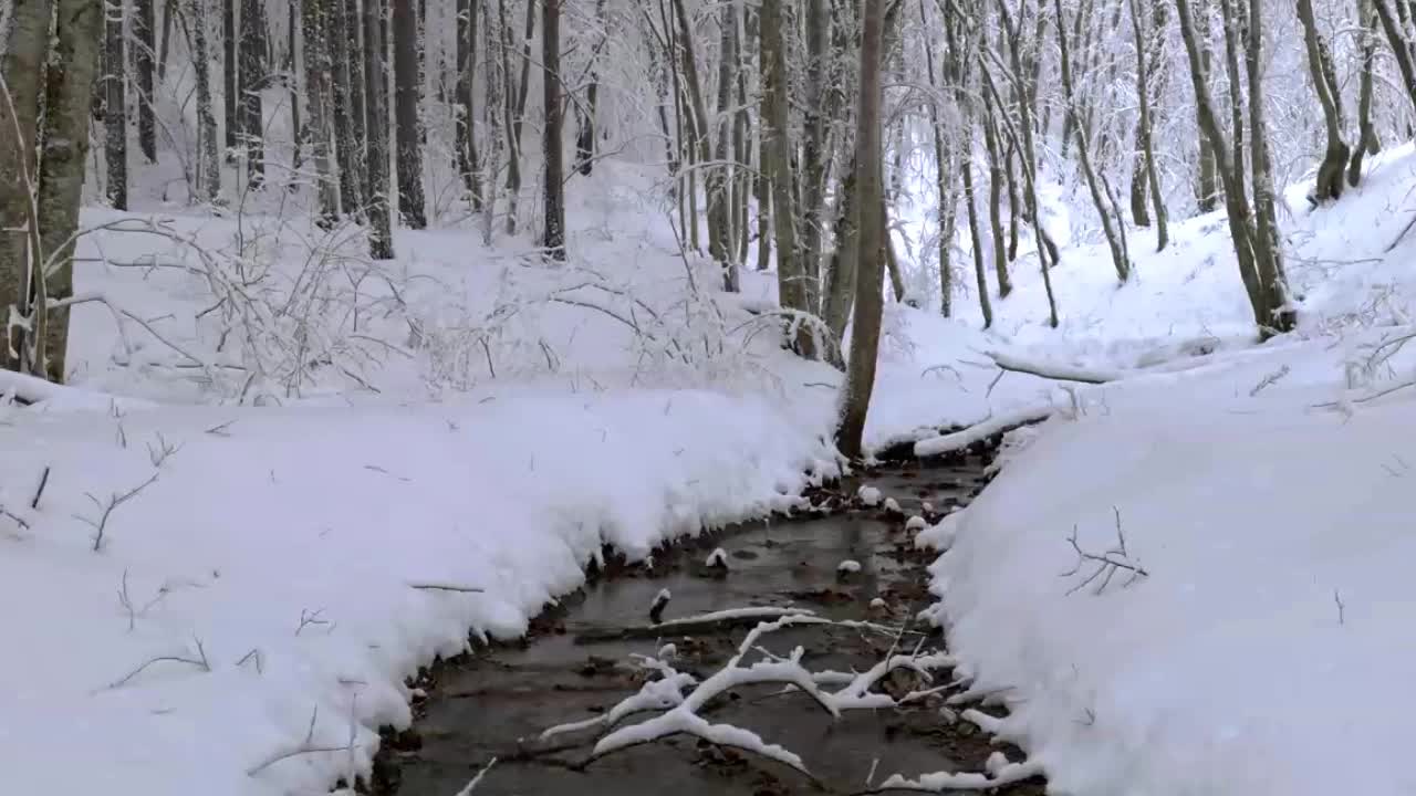 Река белая зимой