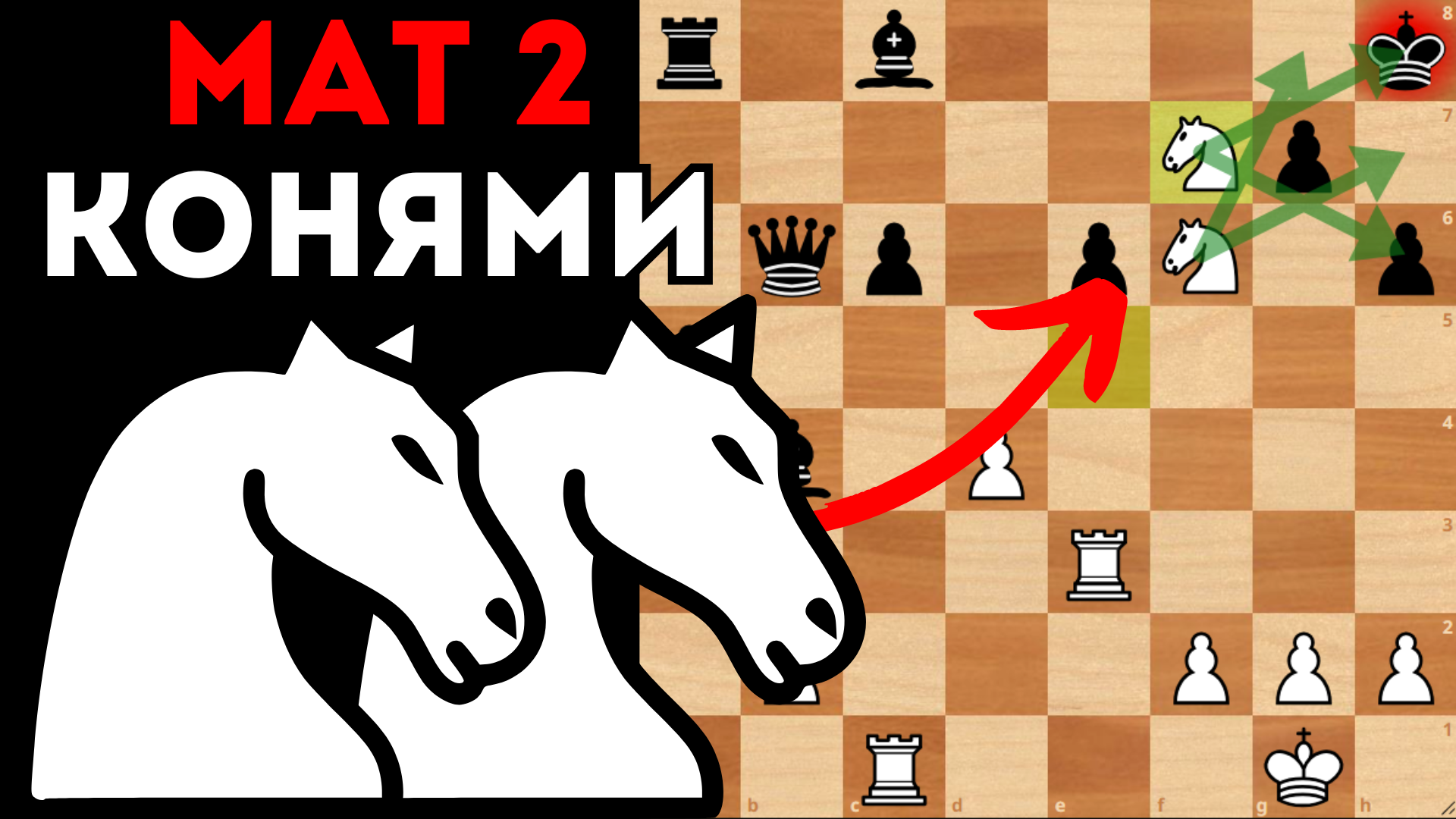 расстановка шахмат ферзь любит свой цвет. шахматная королева ферзь. ферзь любит свой цвет в шахматах. шахматы фигуры на доске ферзь и король. король и ферзь в шахматах.