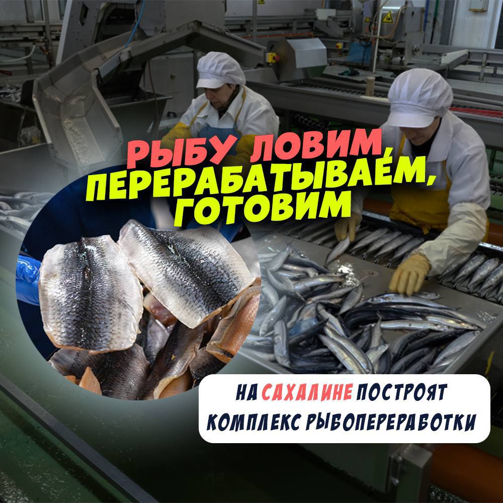 Какое должно быть сырье. Рациональное использование сырья. Первичное сырье примеры. Диоксины влияние на организм человека. Какое должно быть сырье.