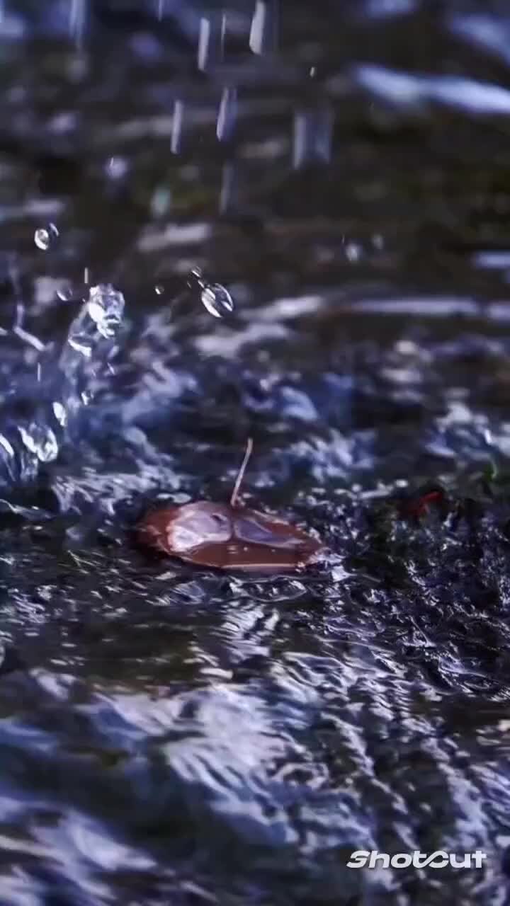 Эксклюзив автор. Женщина за шитьем. Писатель депутат сергей шаргунов. Поздняков нтв фото. Мозырь татьяна николаевна.