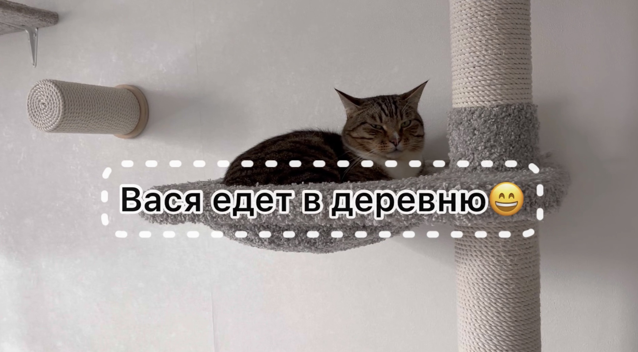 Вид из окна поезда. Вася ехал в деревню на поезде. Вася ехал в деревню на поезде. Две машины едут навстречу друг другу. Опять на вахту.