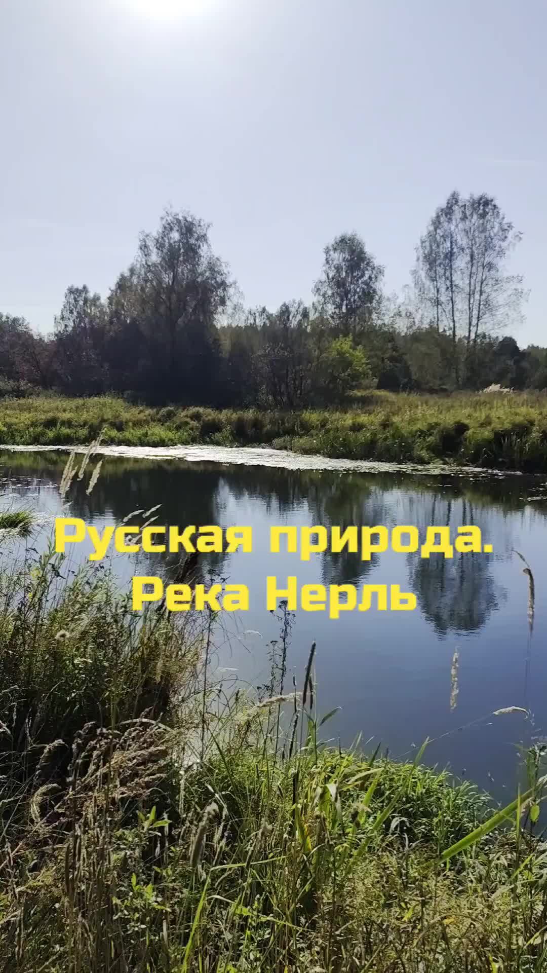 Там где река нерль