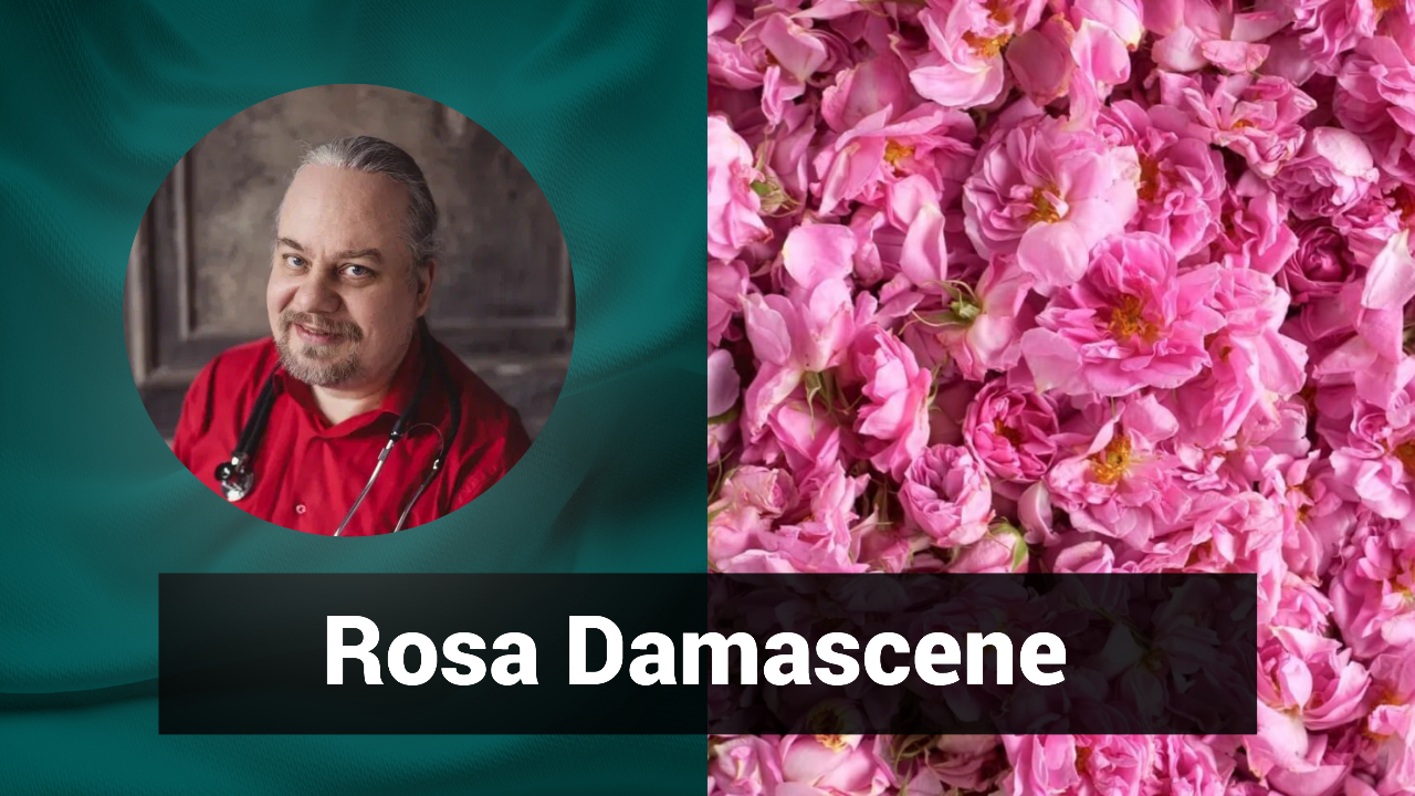 Японский кроссворд роза. Ask trio 516 арты. The answer - rise. Answer rose. Answer rose.