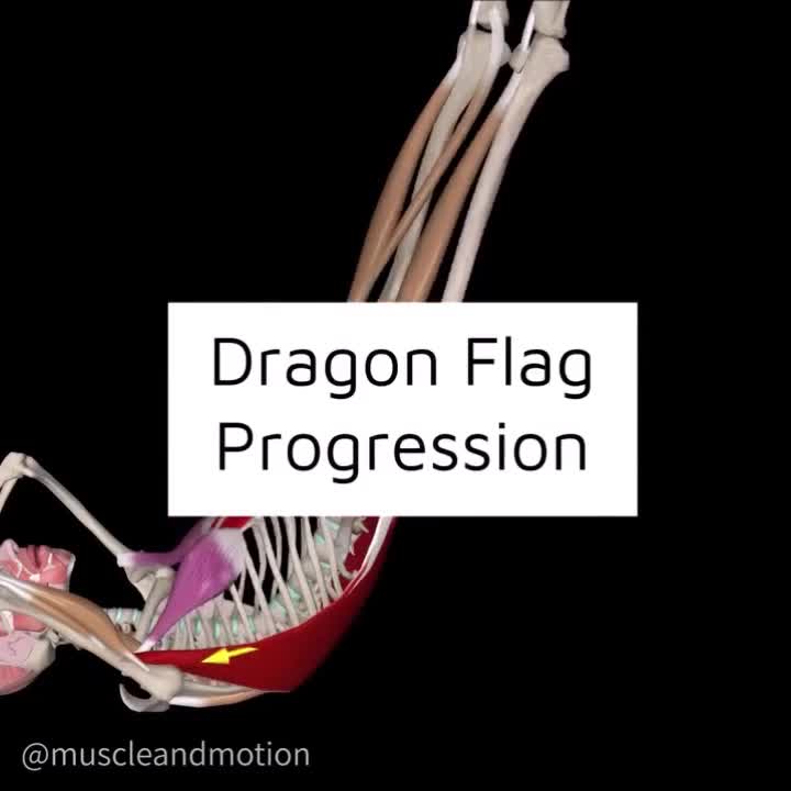 Формы флажков. Флажки разной формы. Черный треугольный флажок. Флажки по математике. Флажки по математике.