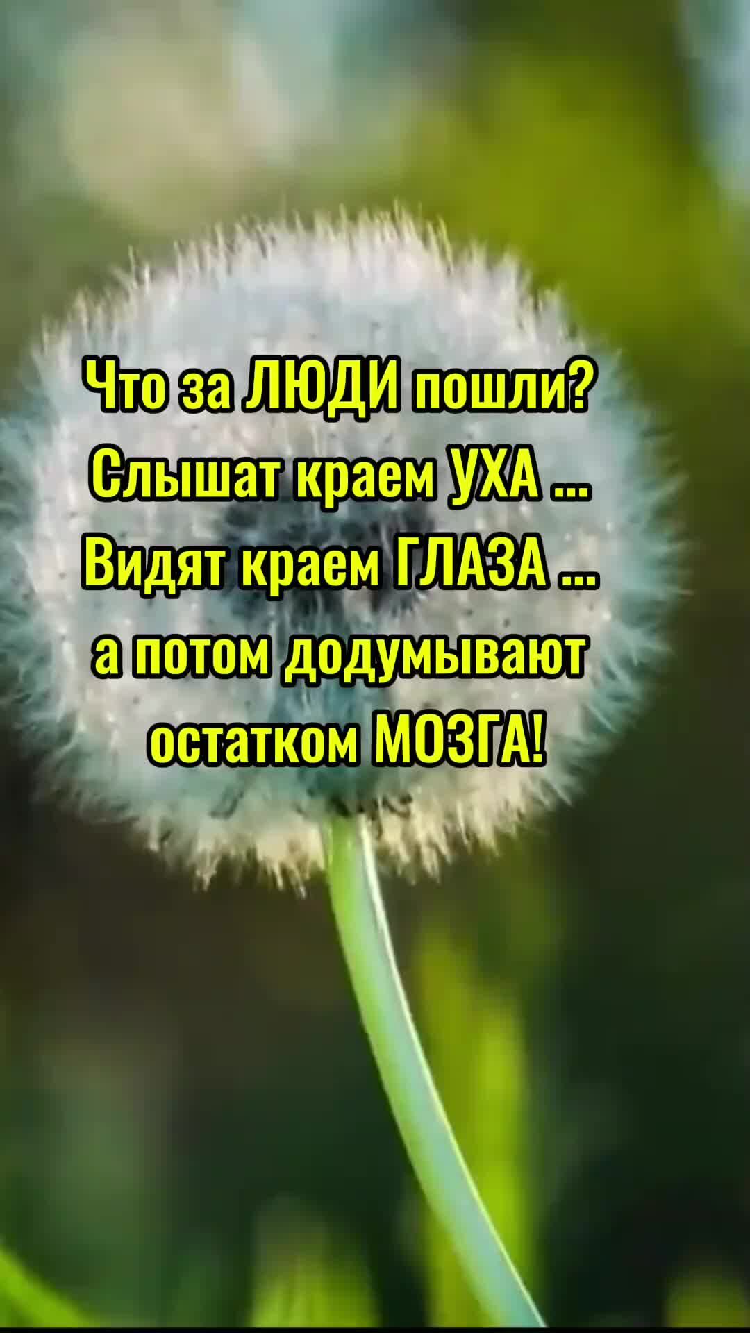 Известные мемы. Вот вот мем. Вот уроды брат 2. Вот такая идея кощей заяц. Вот такой короче.