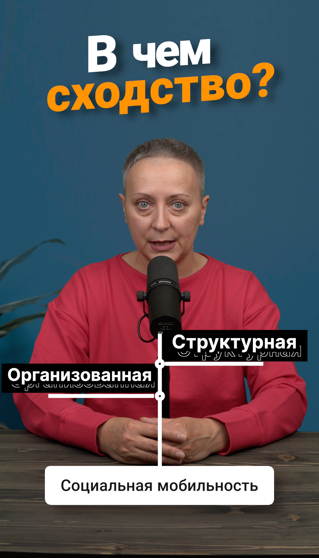 Социальные группы егэ. Критерии социальной стратификации егэ обществознание. Социальное егэ. Социальная стратификация егэ обществознание. Структура социального конфликта егэ.