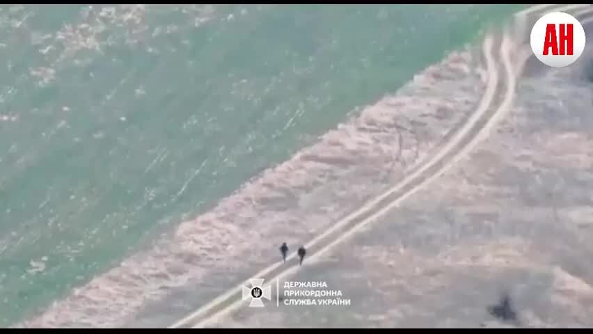 Видео 6 9. Видео 6 9. Видео 6 9. Oxanashy. Тату тюльпан 9 ярдов.