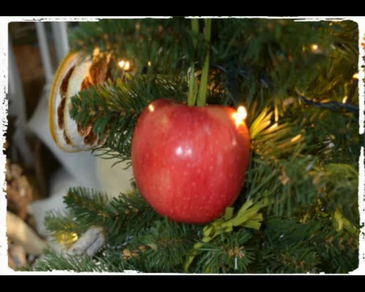 Елка яблоко послушать. Елка украшенная яблоками. Iowa яблоко. Съедобные украшения на елку. Елка яблоко послушать.