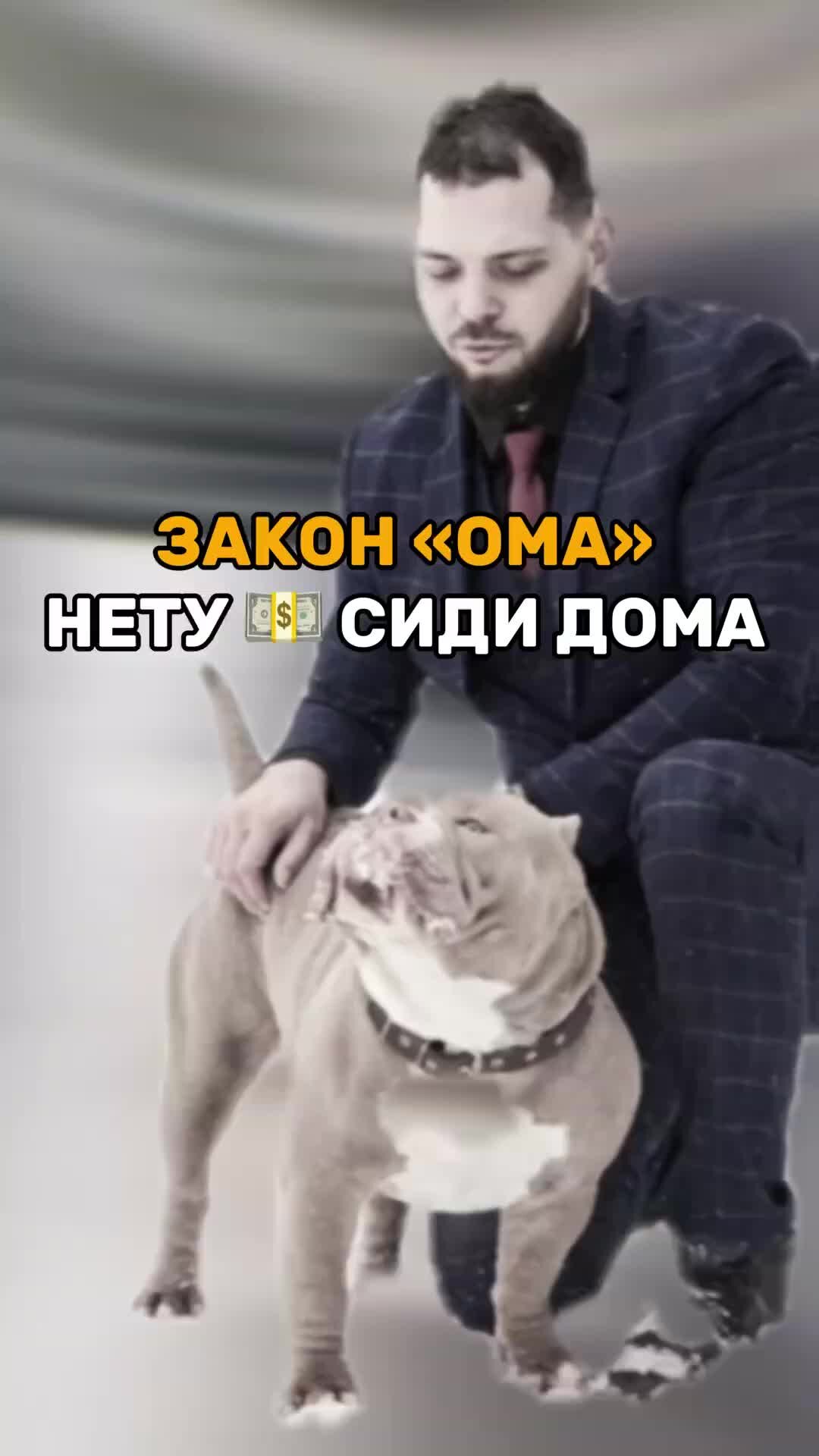 Dimekr | ЗАКОН «ОМА» НЕТУ ДЕНЕГ - СИДИ ДОМА 😂 #dimekr #страх #мем #юмор  #жиза #прикол #факт #мемы #тикток #тиктокер #трееды #мемы #мемас #юмор  #соба | Дзен