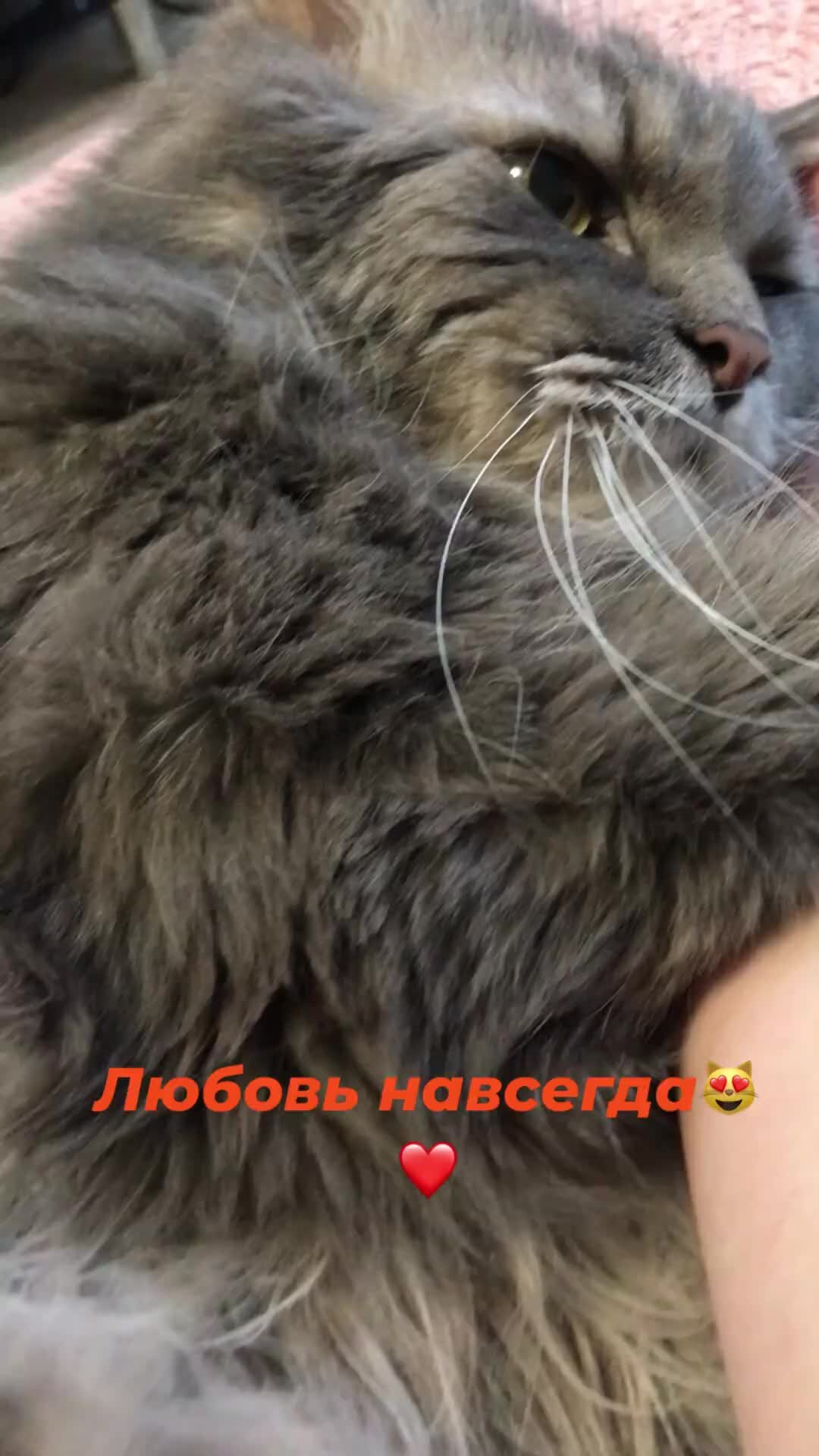 Хочу напиться и влюбиться