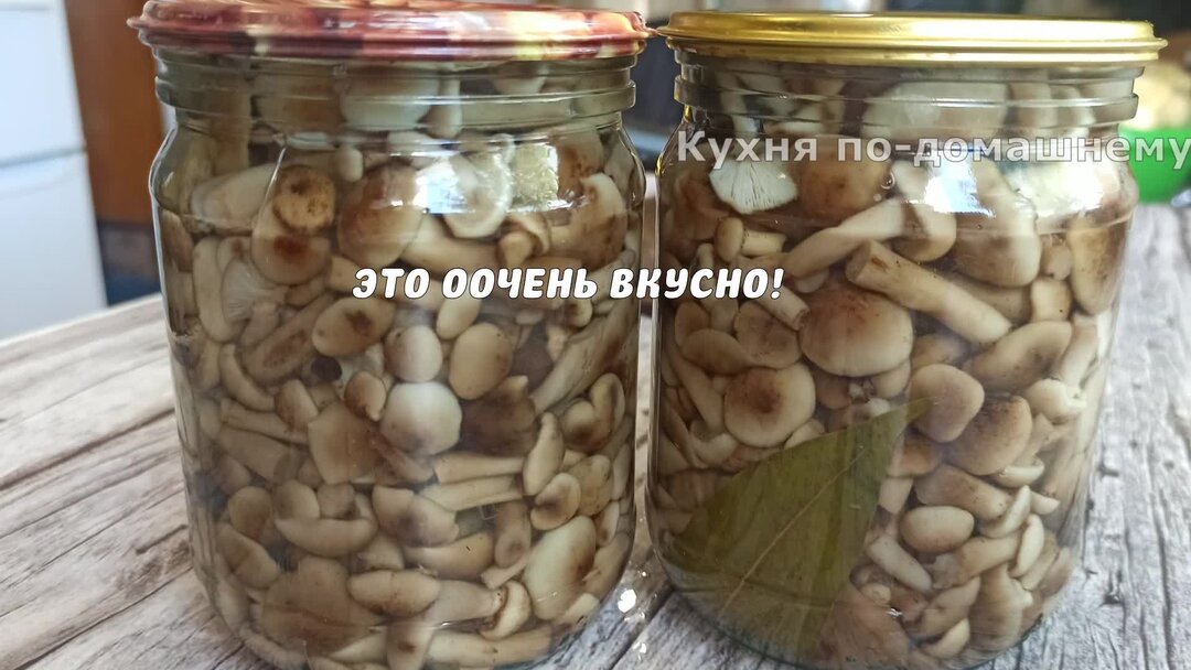 Хранить опята. Хранить опята