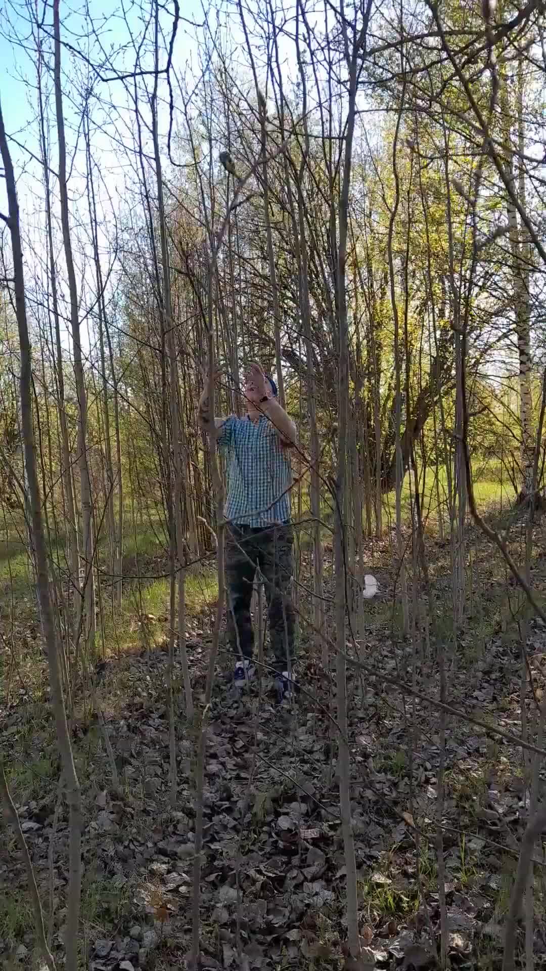 Джуссу