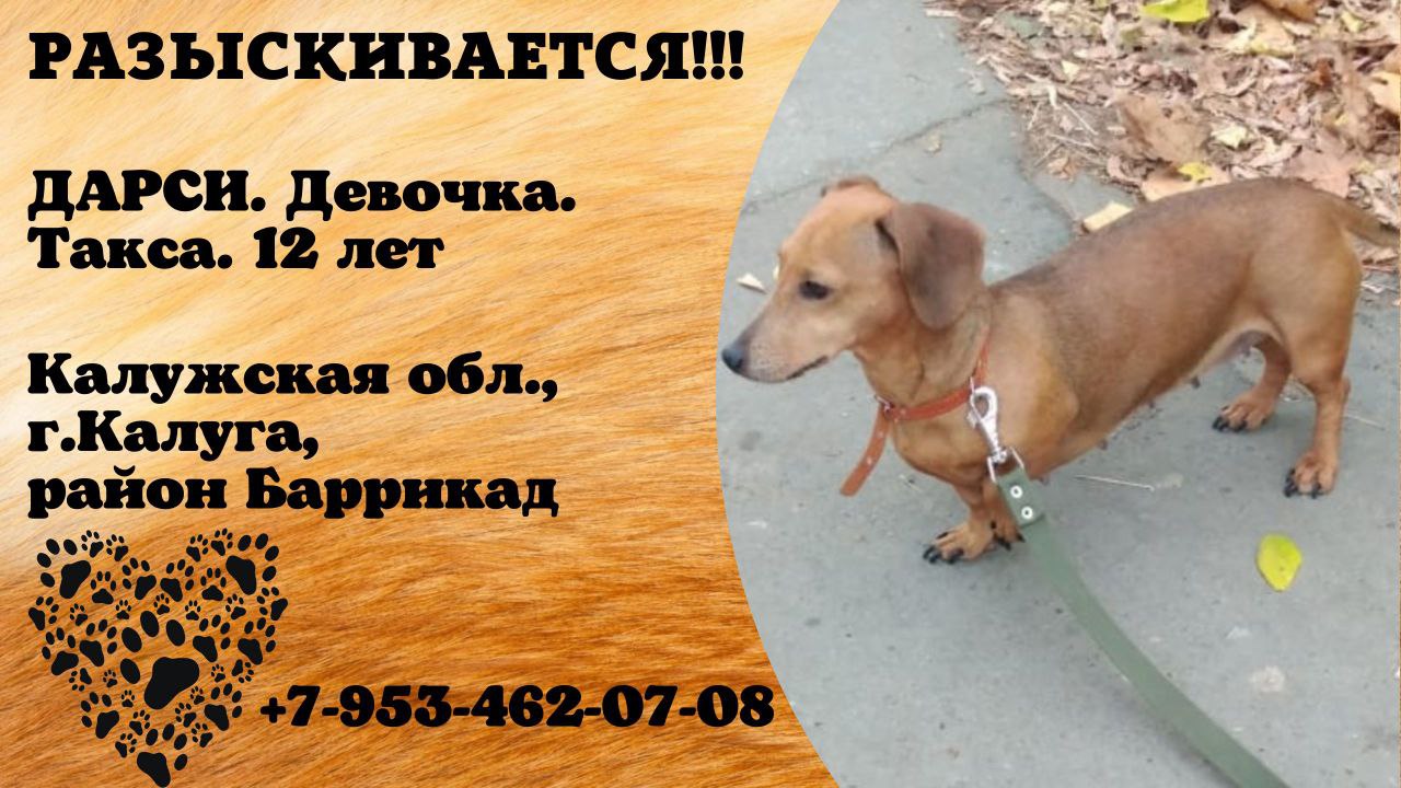 Номер телефона такси. Желтая машина такси. Такси феникс железногорск. Такси запрудня телефоны. Такси запрудня телефоны.