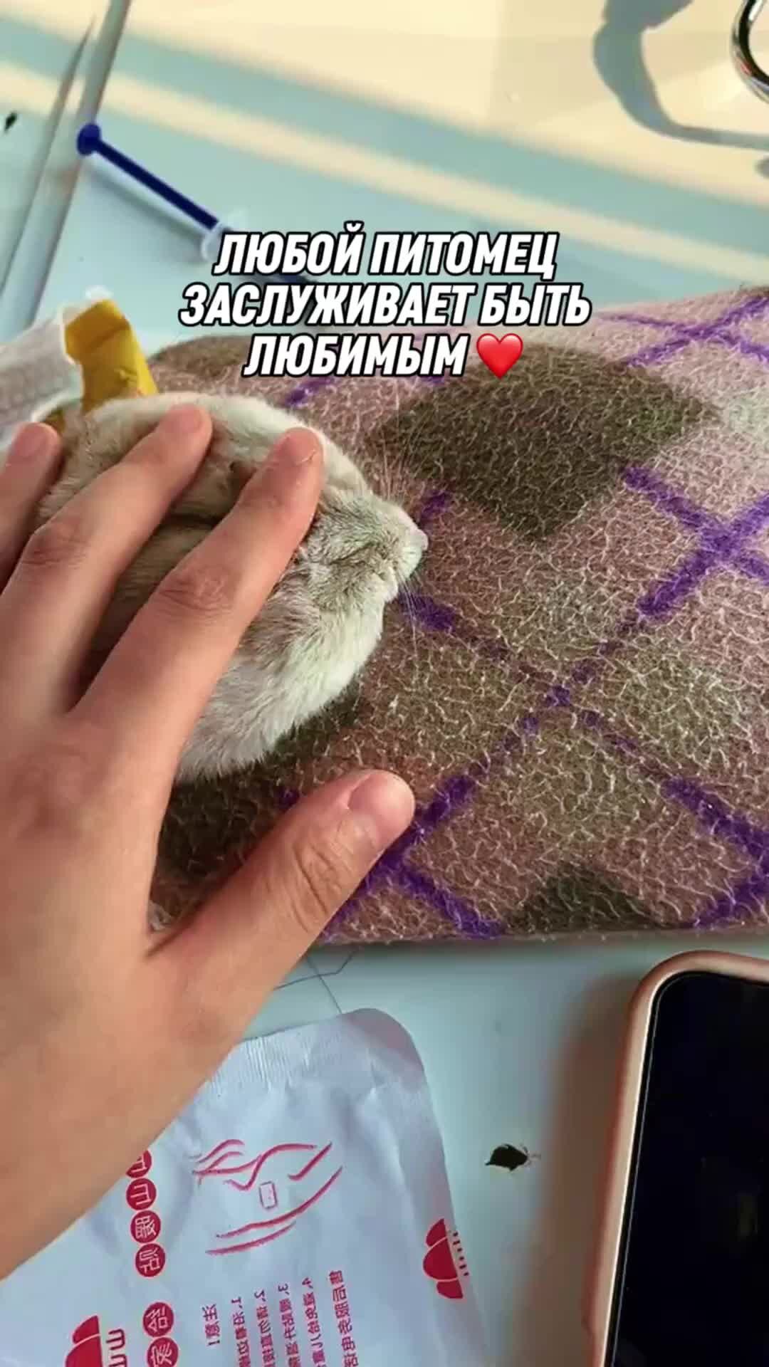 Как называется песня артура. Девочка с клипа артура халатова моя родная фотография. Артур гриф фото. Как называется песня артура. Артур и минипуты 2006 селения.