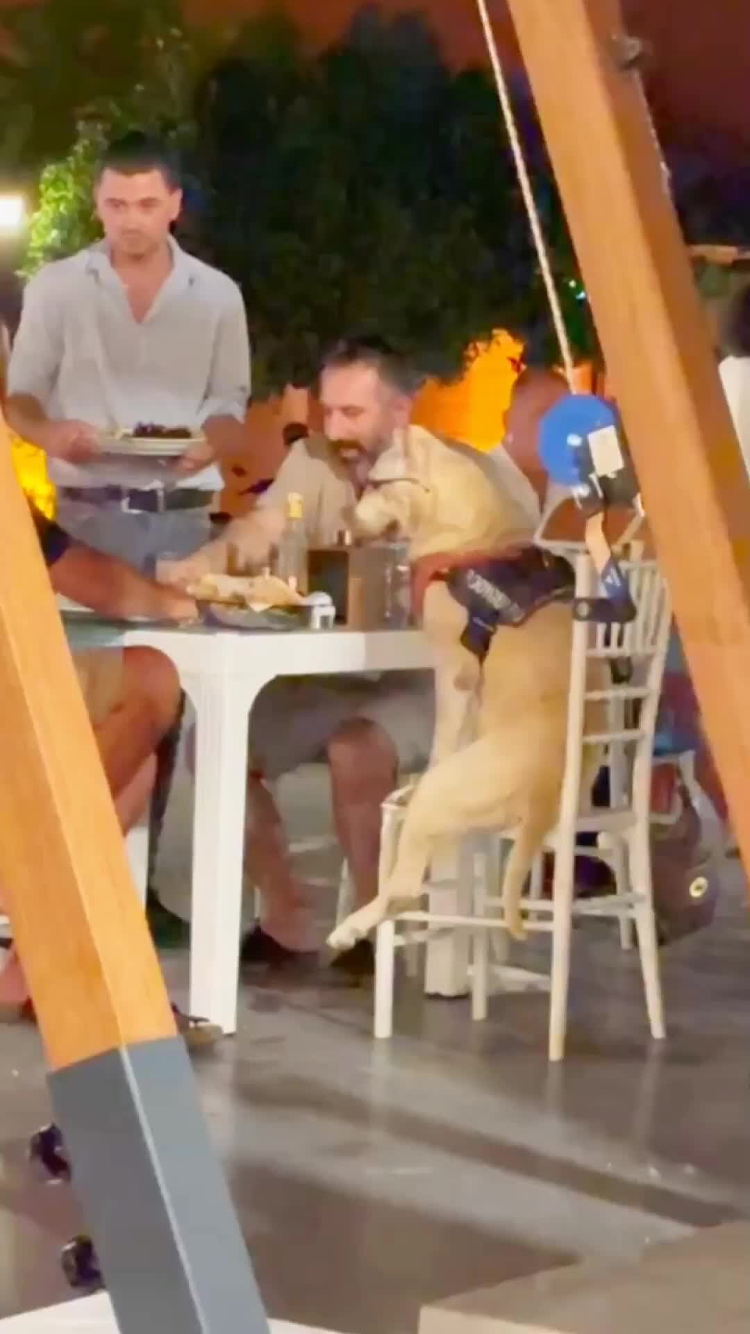 Песня там звезды светят