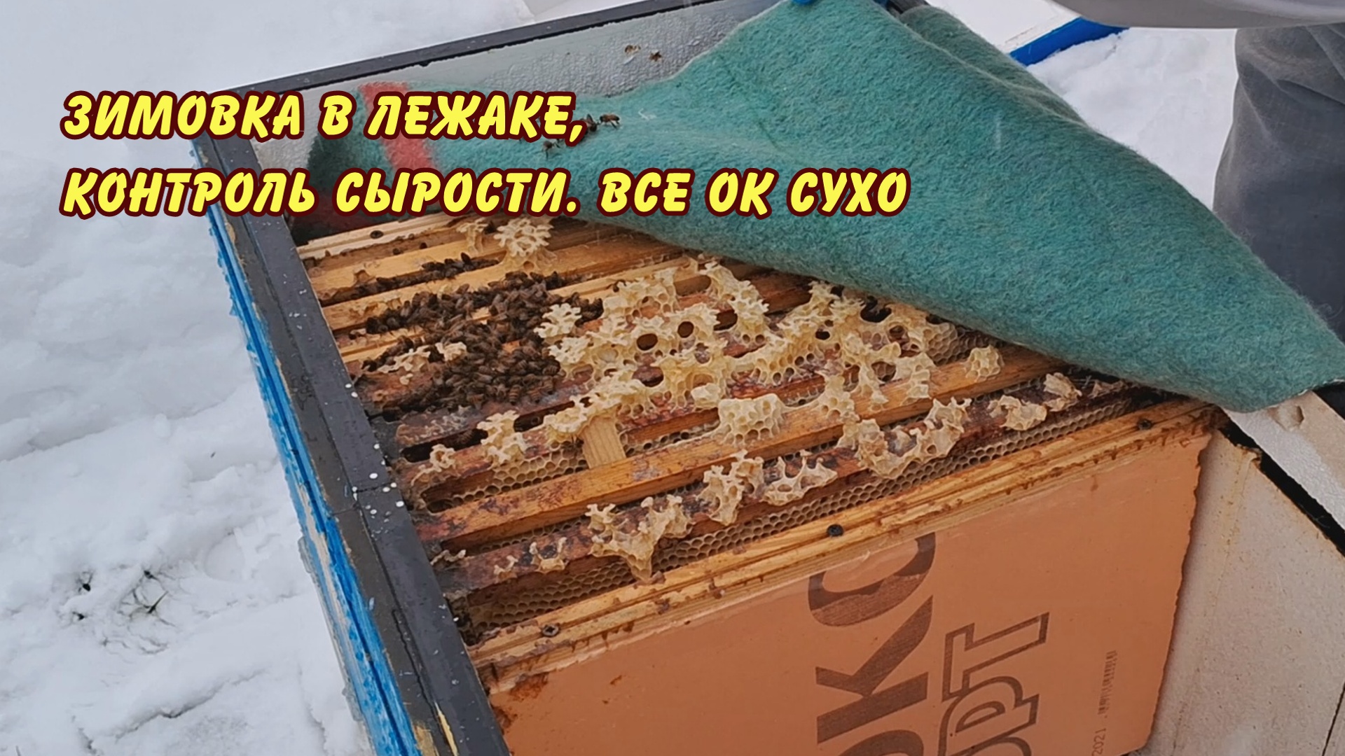 Сколько до зимы