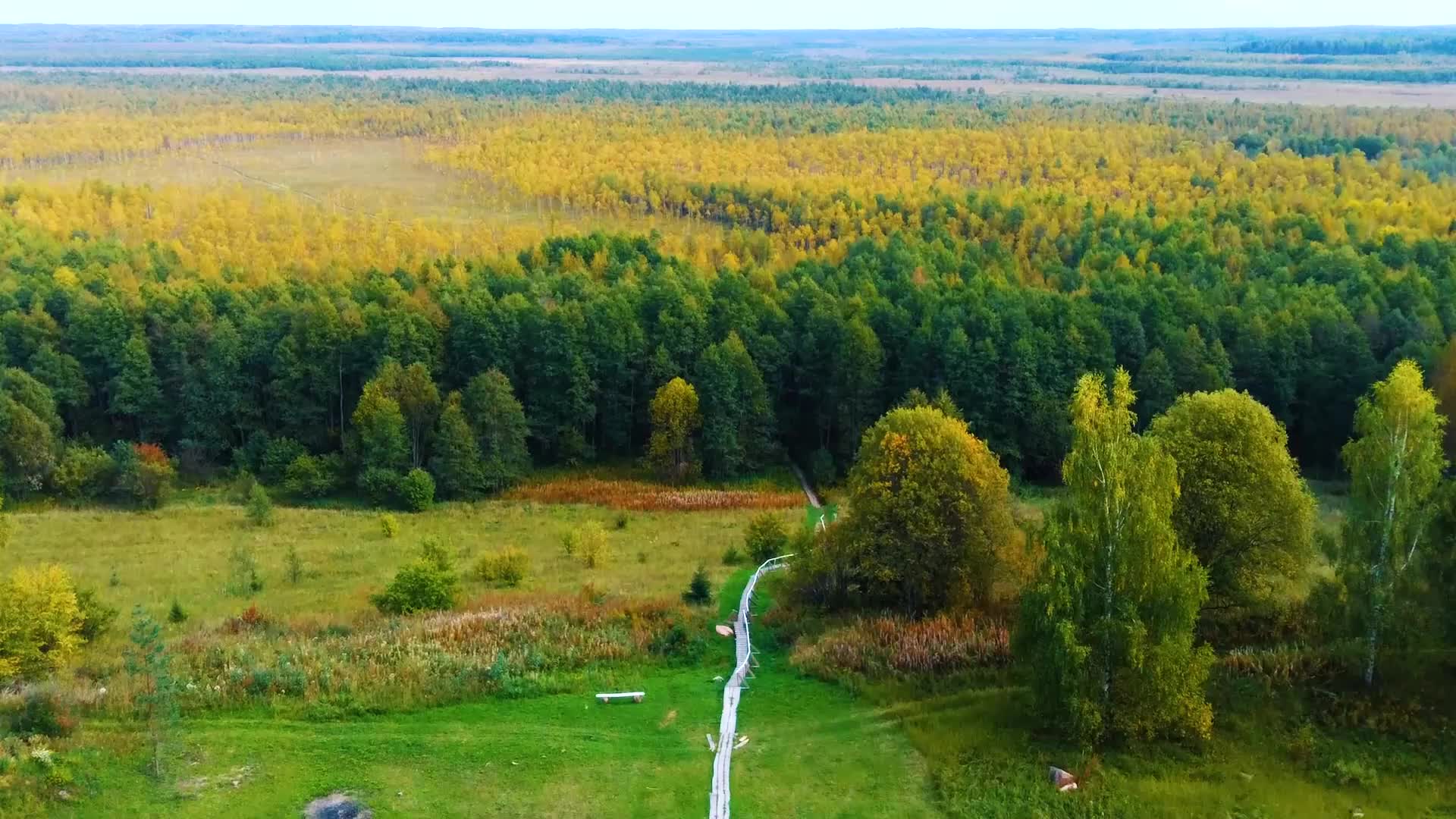 тропа ивана сусанина кострома. сусанинское (исуповское, болото чистое) болото. болота ивана сусанина. кострома сусанинские болота. болота ивана сусанина.