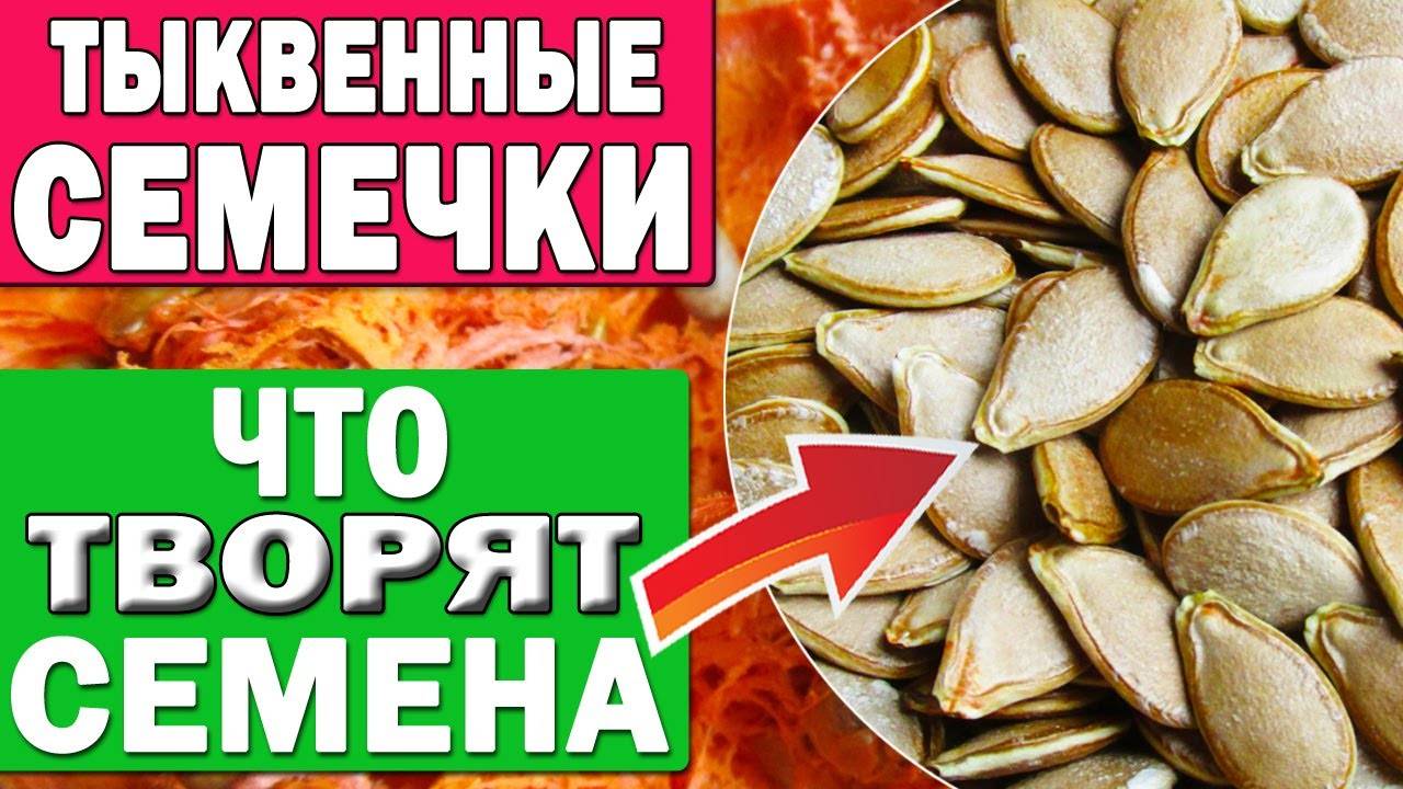 Тыквенные семечки вред для организма. Магний в тыквенных семечках. Семена тыквы микроэлементы. Магний в семечках тыквы. Тыквенные семечки польза и вред.