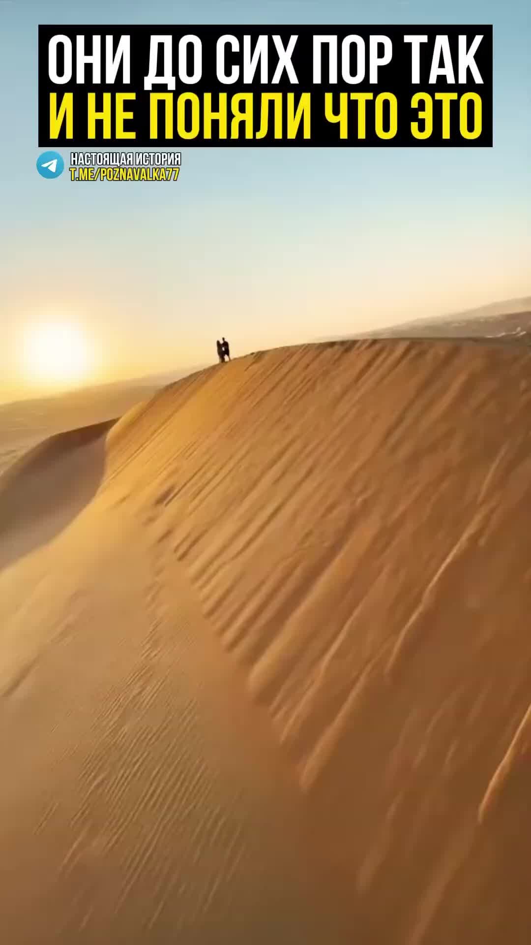 работаем в субботу. мемы про субботу. суббота картинки прикольные. что будет интересного в субботу. бокал за самую яркую и красивую девушку с днем рождения.