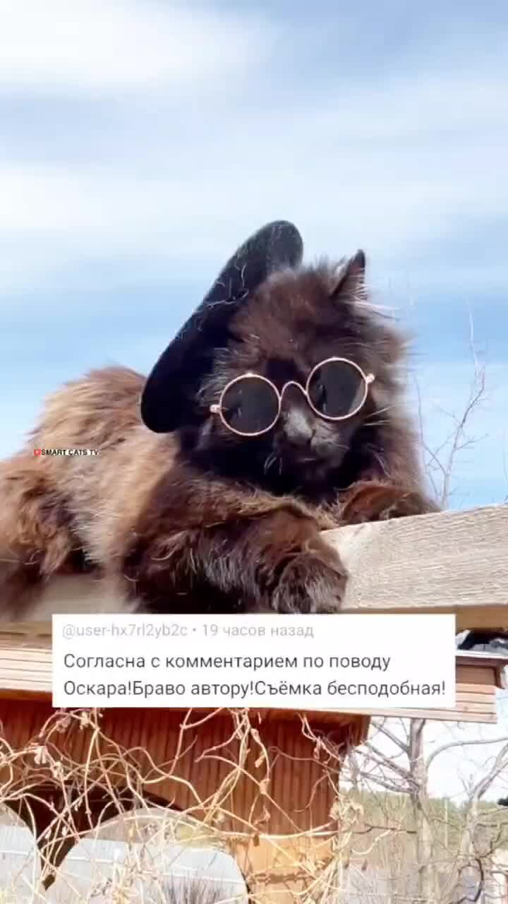 Mavic galibri calibri федерико феллини. Дайте оскар этой богине песня. Дайте оскар богине mp3. Федерико феллини певец 2021. Девочка танцует дайте оскар этой богине видео-.