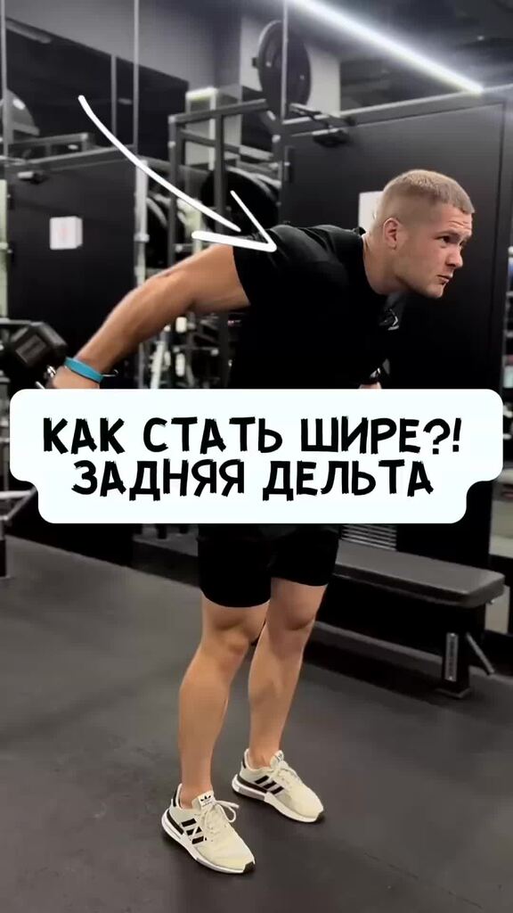 Любопытные получают бампером в лоб. Скакательный сустав собаки анатомия. Становиться на задние. Становиться на задние. Мышцы скакательного сустава собаки.