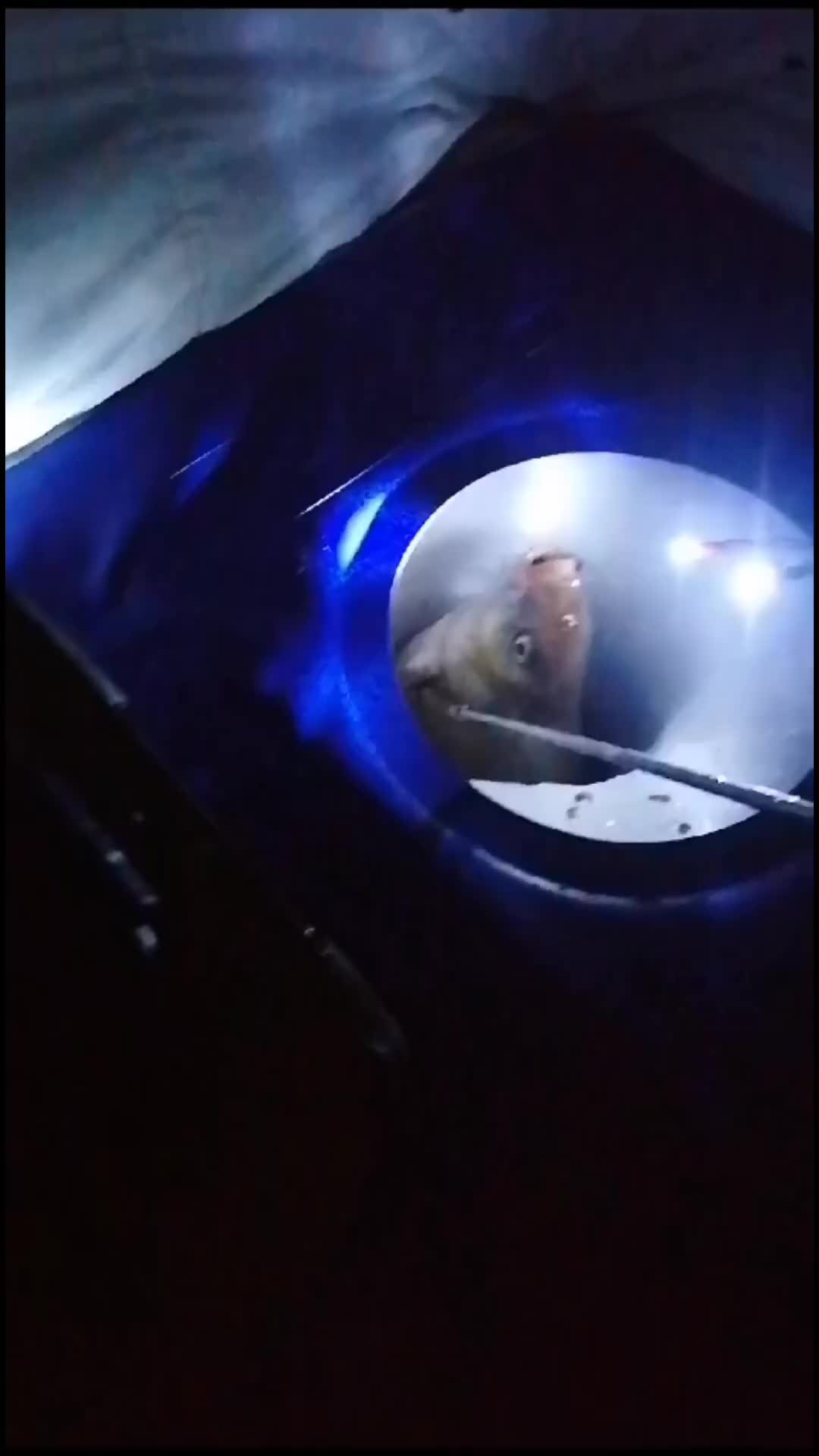 Хлопать по щекам. Девушка дает леща. Девушка дает леща. Девушка дает леща. Дать леща gif.