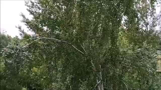 Вкусная еда приколы. Рецепт прикол. Котенок на сковородке. Шутки про творог. Смешные картинки с едой.