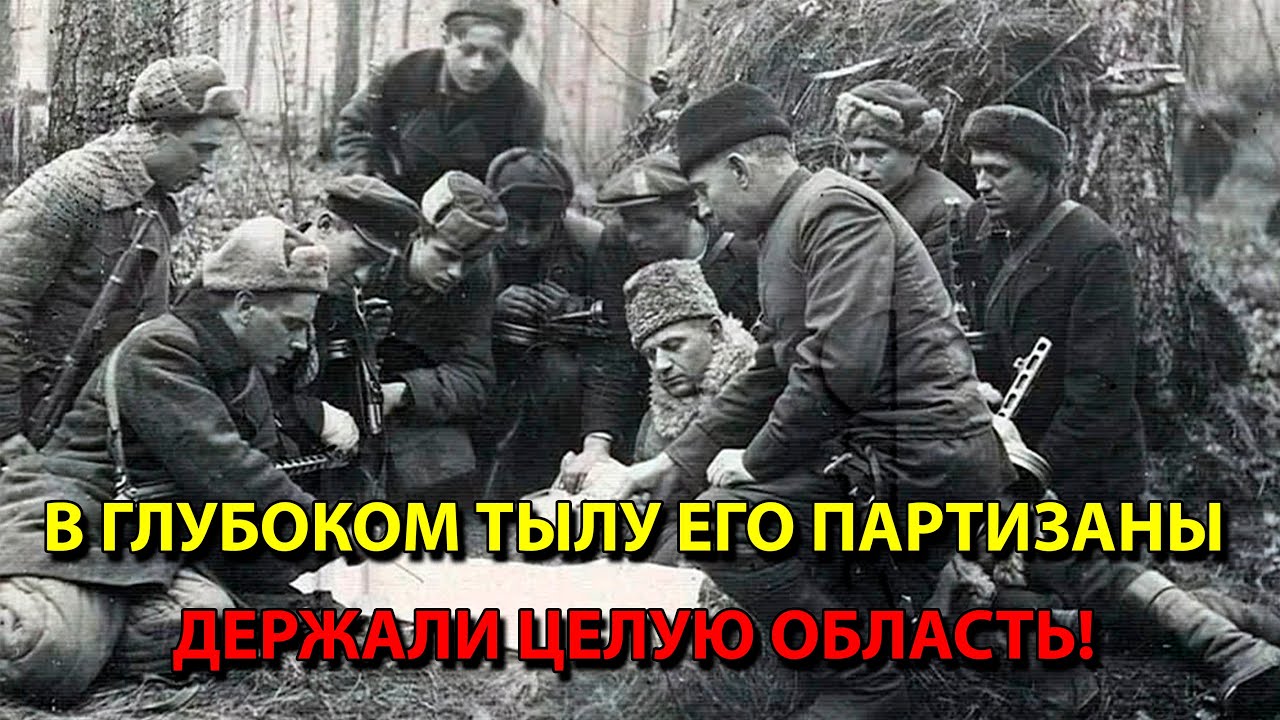 партизаны 1941 чит
