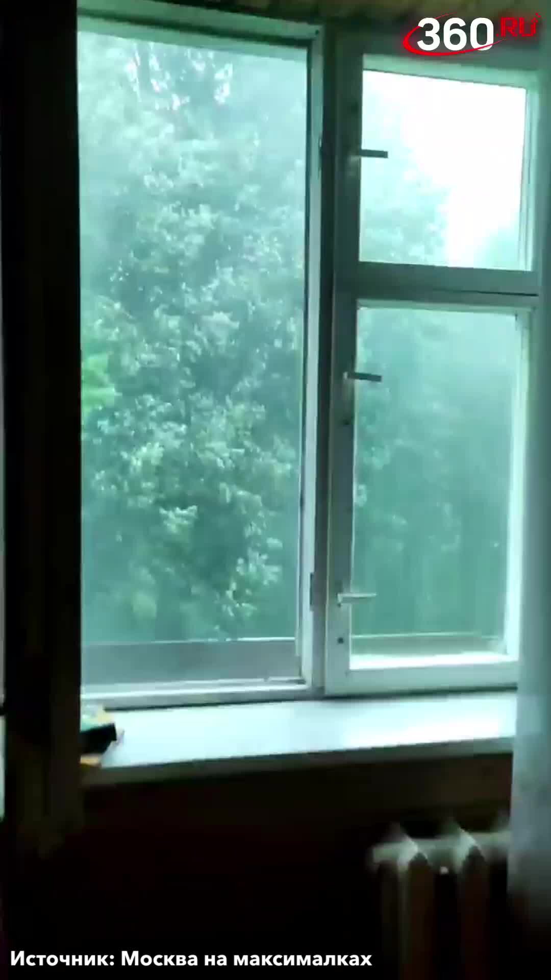 Мемы с птицами. У любви села батарейка. Кокушка стих сумароков. Сумароков стихи. Ветер усилился стократно песня.