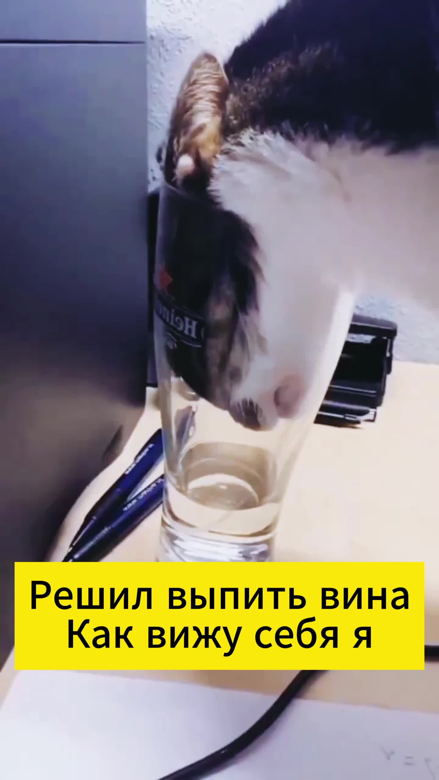 Решил выпить