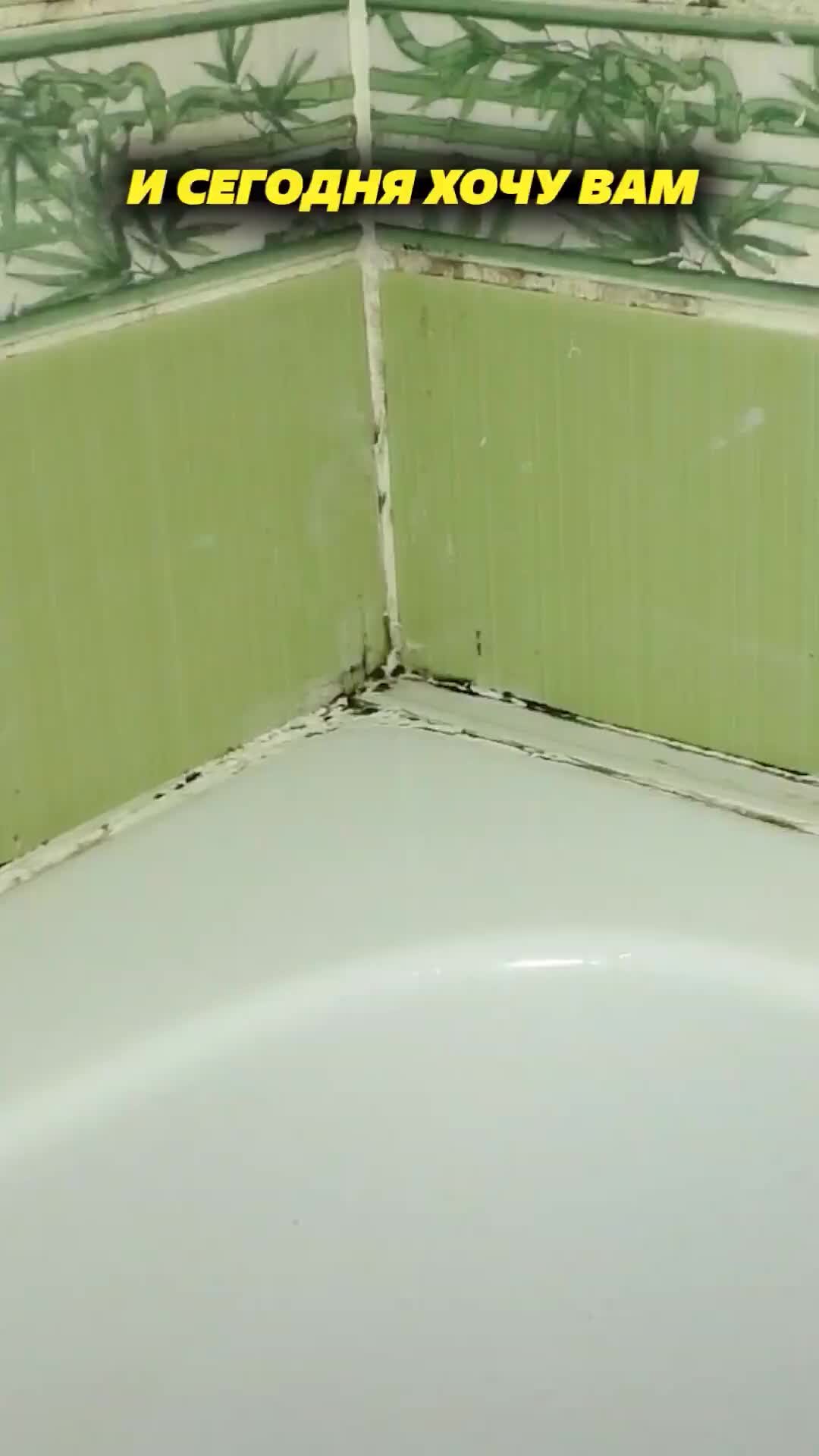 Марина Жукова | Удалила плесень просто! | Дзен