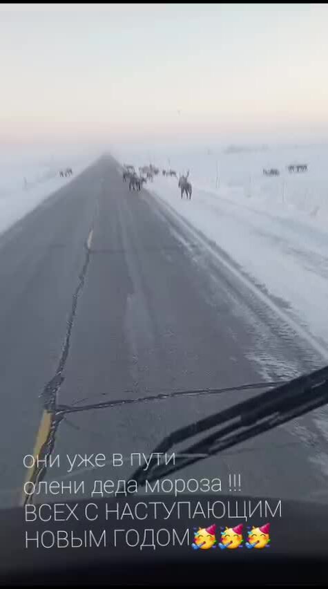 Русское не профессиональное порно порно видео