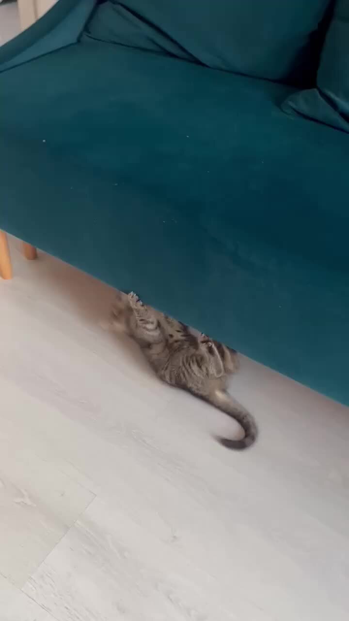 одинокая ветка сирени ноты для аккордеона. группа балаган лимитед. ноты с текстом. группа балаган лимитед. ноты и текст песни.