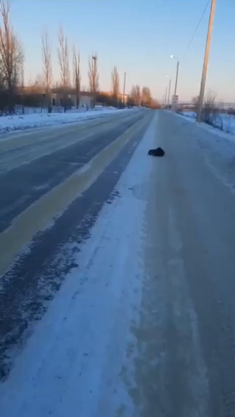 отнюдь не холодно некуда. отнюдь не холодно некуда. не с наречиями пишется. отнюдь не холодно некуда. отнюдь не холодно некуда.