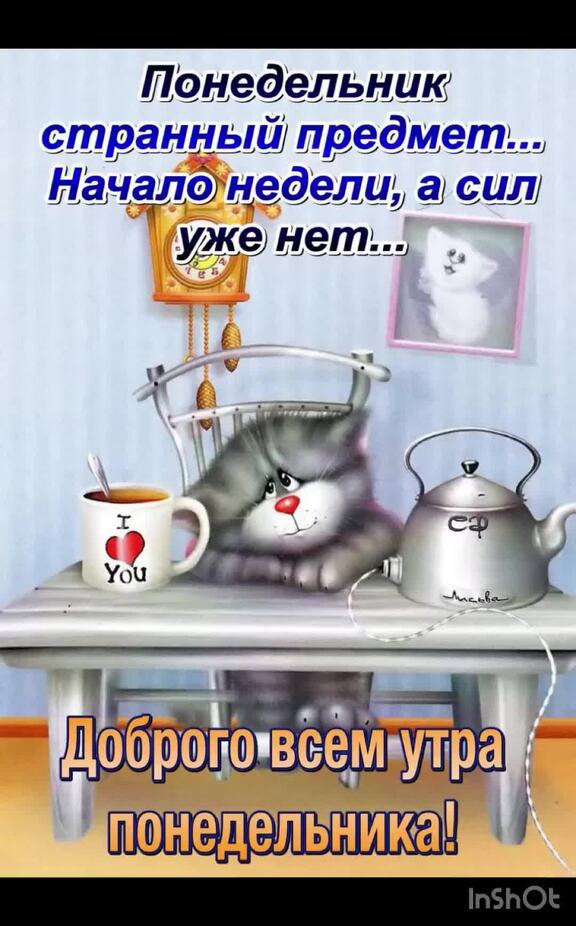 Не болеть с утра по понедельникам текст